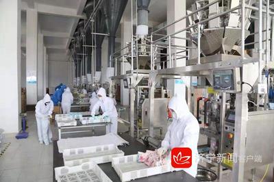 2019年濟寧市新舊動能轉(zhuǎn)換現(xiàn)場觀摩團走進(jìn)嘉祥